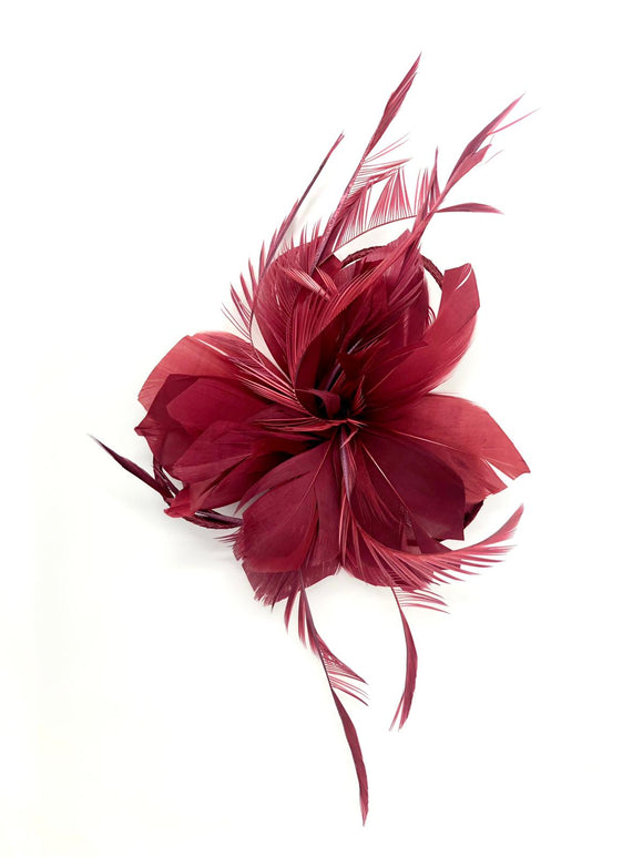 Burgundy Feather Fascinator